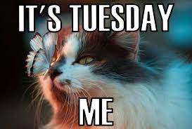 Let's explore the top 100+ trending funniest memes to make you laugh out loud! 95 Funny Tuesday Memes Images Of Happy Tuesday Quotes Boom Sumo