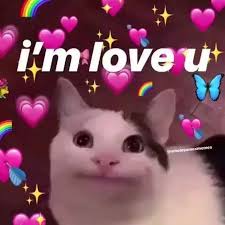 Pin By Keziah On Reaction Pics In 2020 Cute Love Memes Cute Cat Memes Love Memes