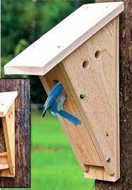 11 cool bluebird house plans to attract them to yard 2019 11 cool bluebird house plans to bring those cute birds to bird house kits bluebird house bird house
