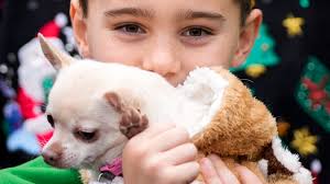 Annual Reindog Parade takes over Mount Adams