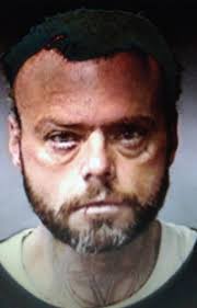 Deputy shoots carjacking suspect