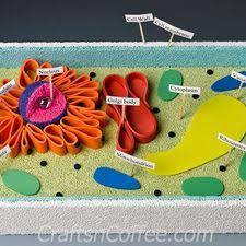 Perhaps the best option is to use foods and food containers. 4 Ways To Make A Model Cell Wikihow Cells Project Plant Cell Project Plant Cell Model