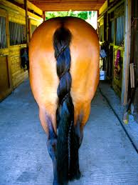 Keep the braid tight and consistent as you move along. 4 Ways To Braid Your Horse S Mane Preloved Uk