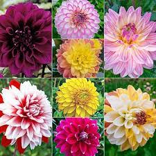 Pin On Birthday Ideas