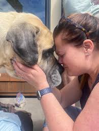 Homemade Wonton Soup for the win !!! A family favourite  💗#happychinesenewyear2021 #gunghayfatchoy #homemademeals  #homemadewontonsoup