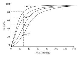 Relationship Between Oxygen Partial Pressure Po2 And Oxygen Download Scientific Diagram