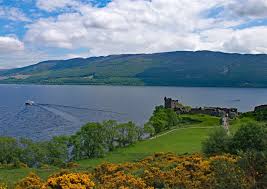 Free shipping on orders over $25 shipped by amazon. Vintage Year For Loch Ness Monster Sightings