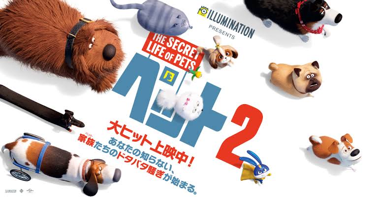 ペット2
