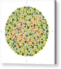 Ishihara Color Blindness Test 10 Acrylic Print