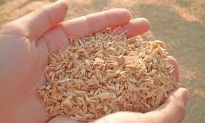 I would buy the book if it had extra content, but i can't… The Gov T Of Japan On Twitter Looking Ahead To 2021 It S Time To Accelerate Our Actions Towards A Circulareconomy With New Recyclingmaterials Here Are Some Of The Japanese Innovators Unlocking Global Solutions