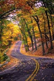 Venture just slightly outside the city to northern new jersey to experience liberty state park, a beautiful green sanctuary that is the perfect place to photograph the statue of. Autumn New York State Photo On Sunsurfer Autumn Scenery Nature Scenery