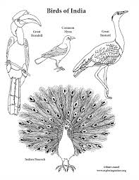 The spruce / wenjia tang take a break and have some fun with this collection of free, printable co. Birds Of India Coloring Page