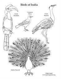 See more ideas about coloring pages, coloring books, indians. Birds Of India Coloring Page