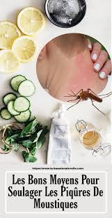 Des Qu Il Commence A Faire Chaud On Est Expose Aux Insectes Et On Souffre De Leurs Piqures Apres Une Piqure La Peau Devient Toute Rouge Et Vous Avez Tout Le