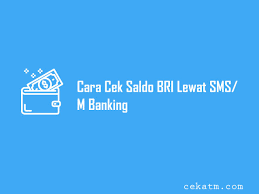 Pertama, nominal pulsa yang tersedia di atm bri paling kecil adalah 25.000. 6 Cara Cek Saldo Bri Lewat Sms Banking Hp Update 2021 Cek Atm