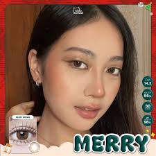 คอนแทคเลนส์ รุ่น Merry Kitty kawaii ค่าอมน้ำ 55% สีเทา/ตาล Gray/Brown  มีค่าสายตา (0.00)-(-7.00)