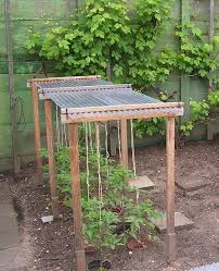 7 Abri Pour Les Poivrons Et Les Tomates Vegetable Garden Design Growing Vegetables Vegetable Garden