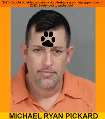 Groomer from Family Pet Grooming and Daycare caught