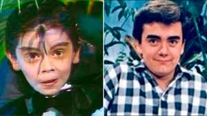 De Carlos Espejel a Lucero: qué fue de las estrellas de Chiquilladas -  Infobae
