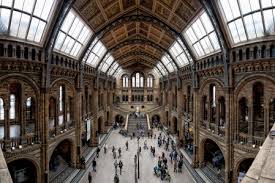 They issued many series of puzzles, the most common being: Uk Natural History Museum Jigsaw Puzzle