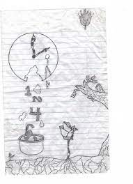 Viewing Dimiricous S Profile Profiles V2 Gaia Online Trippy Drawings Easy Drawings Trippy