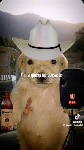 La Escencia Para Ti 🎶