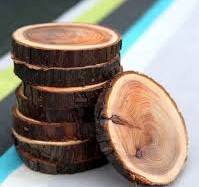 Natural Branch Coasters: How to Cut, Sand, and Seal Wood Slices