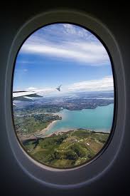 Landscape Animals Airplane Window View Plane Window Airplane View
