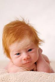 He Has No Soul But He S A Little Bit Cute Kinda Sort Of Ginger Babies Cute Babies Romantic Girl Names