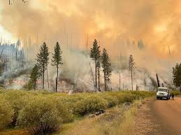 Climate is the average course of weather conditions for a particular location over a. Why Climate Change Is Also A Public Health Problem Abc News