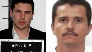 🔴 'El Chapito Mayor' encuentra remplazo para 'La Perris'; el relevo es 'El  Jardinero', un michoacano de 45 años que también cuida a 'El Mencho'  https://mile.io/4mDs22P