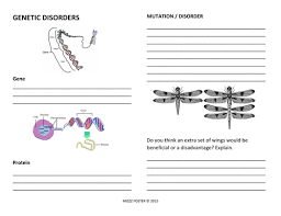 Dna coloring worksheet answers x biology corner. Mizzzfoster S Shop Teaching Resources Tes