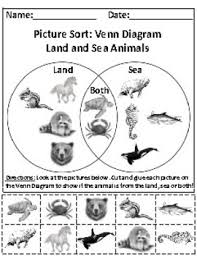 land and sea animals picture sort graph activity chart activity for ri k 7