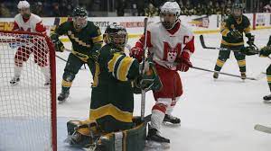Tva sports.trop peu trop tard. Mcgill Olympic Medallist Daoust Joins Tva Sports As A Hockey Analyst Mcgill University Athletics