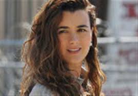 Bellisario comes ncis (originally known as navy ncis), a show highlighting the inner workings of the government agency t. Behind The Scenes With Cast Of 8216 Ncis The Blade