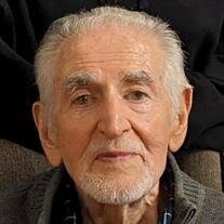 Domenic V. Coscia Obituary