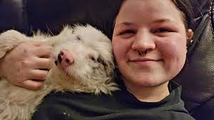 Mason has the sweetest face. 🐄 ❤️