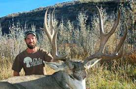 Mule deer are one of the most deceptive animals when it comes to accurately trying to judge their antler score while on the hoof. Field Judging Mule Deer Outdoors International