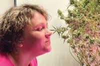 Eastbound and down: GOP gains