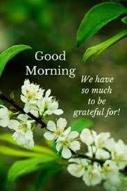 Image result for good morning pic