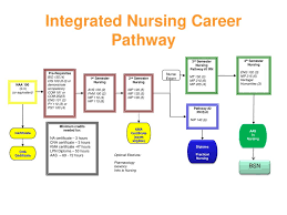 This guide can help you begin your nursing career by exploring license and education requirements, financial aid opportunities, and career prospects. Developing An Integrated Nursing Career Pathway Ppt Download