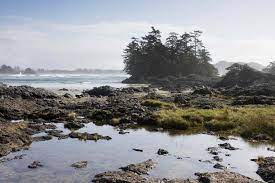 10 Best North American Beaches For Exploring Tide Pools