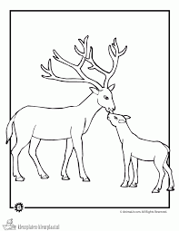 Bambi is een klein hertje dat samen met vele andere dieren in het grote woud woont. Kleurplaten Hert Kleurplaten Kleurplaat Nl