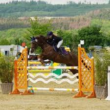 He is currently eventing at ei90. 62 Lia Und Alfi Ideen Pferde Reiten Pferd