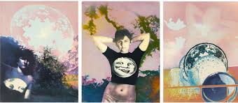 Short form of various given names that are derived from surnames beginning with norman french fitz meaning son of (for example fitzroy). Magic In The Everyday The Art Of Bea Nettles By Nicole Rudick The New York Review Of Books