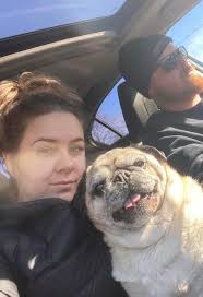 Frenchie x Pug = Frug! ❤️