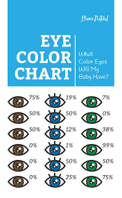 Eye Color Chart What Color Eyes Will My Baby Have Baby