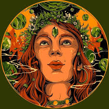 bollysbodega) • Instagram photos and videos