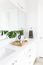 Maybe you would like to learn more about one of these? White Bathroom With Palm Leaf In Vase Transitional Bathroom