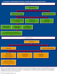 Cultural Anthropology Britannica
